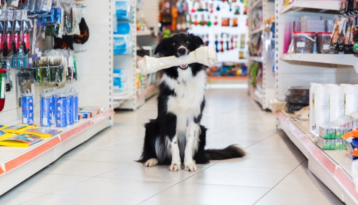 shop-local-pet-store